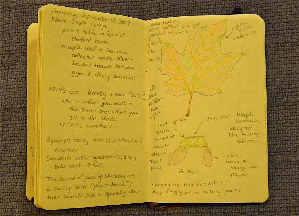 Nature Journaling with Andorra Library