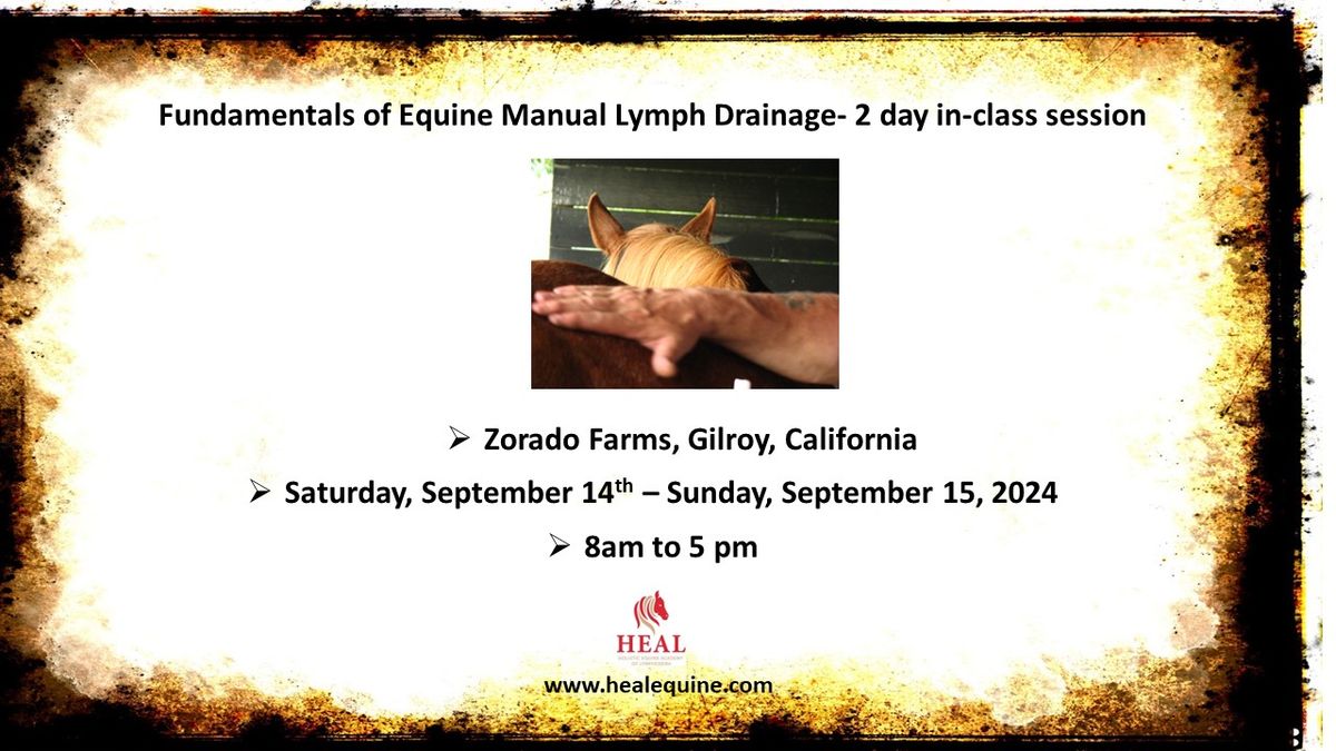 Fundamentals of Equine Manual Lymph Drainage