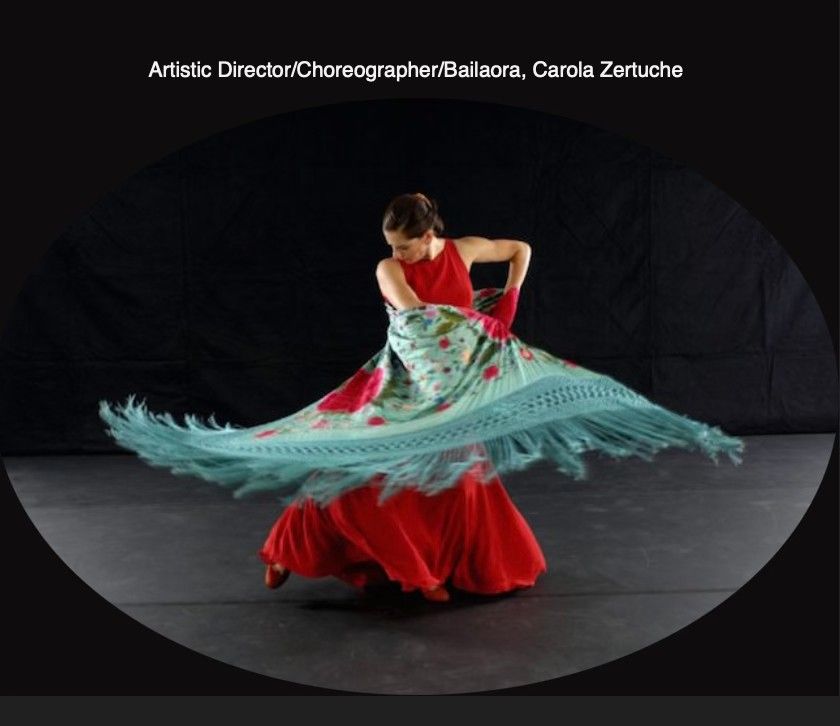 San Francisco International Art Festival - Pasajes Flamencos