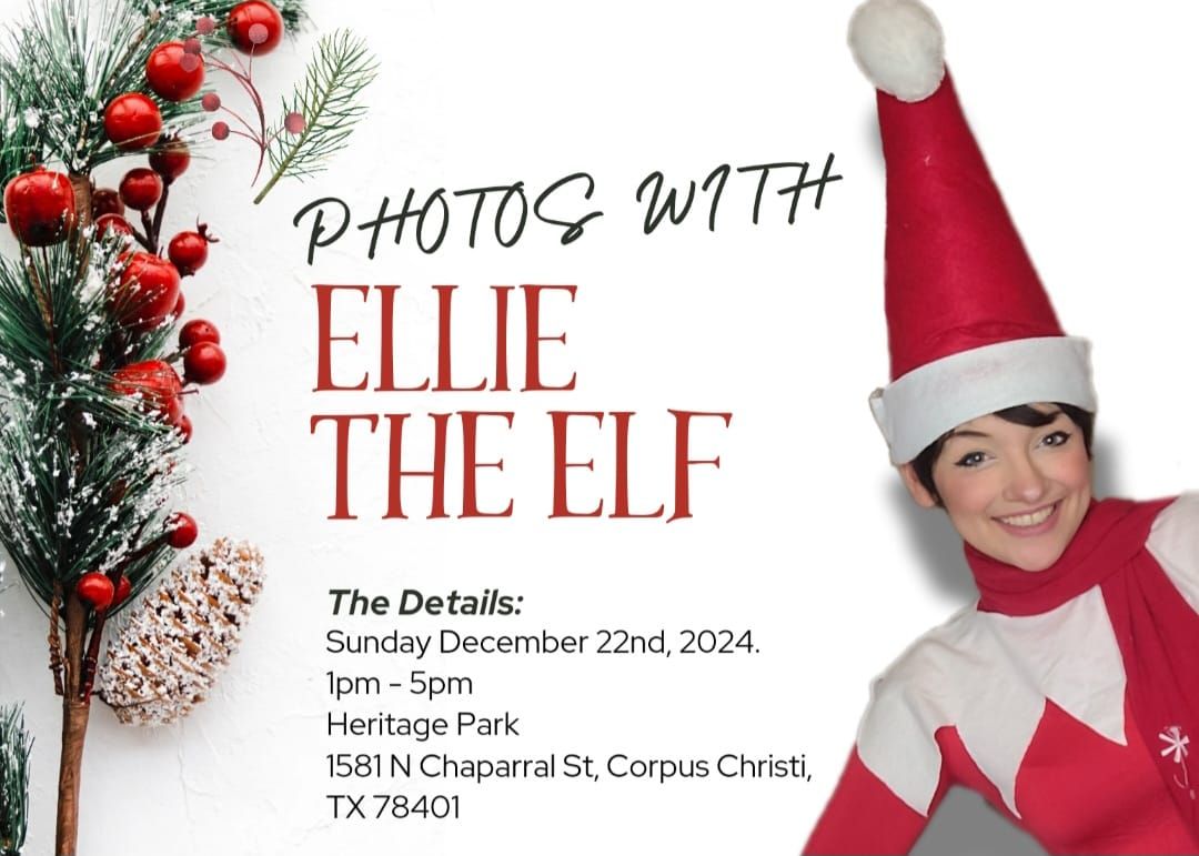 Ellie The Elf: Christmas Photos