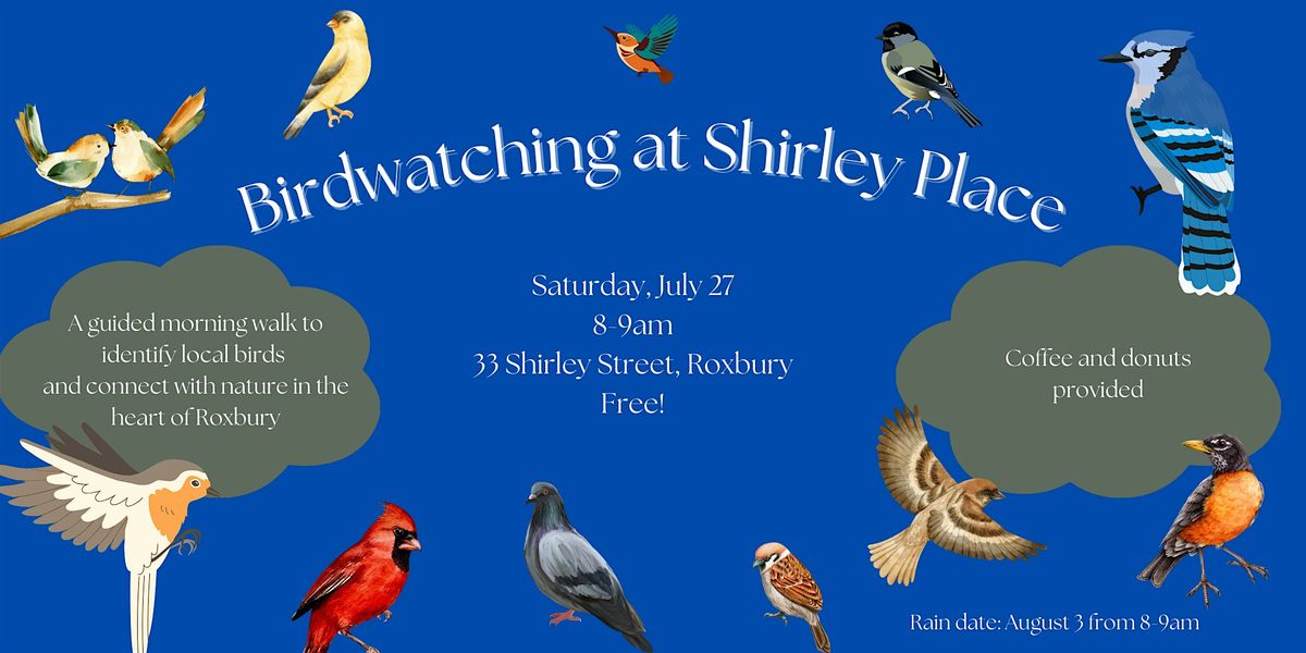 Birdwatching at Shirley Place