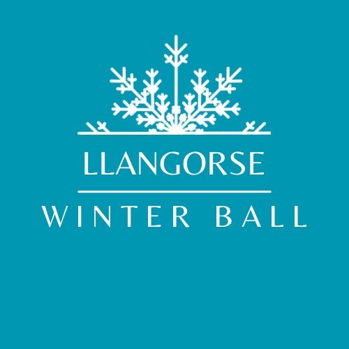 Llangorse Village Ball 2024 