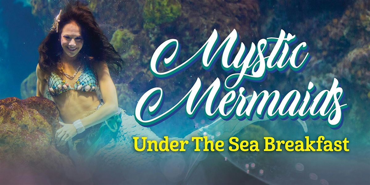 Aquarium Nashville - Mystic Mermaids Under the Sea Breakfast