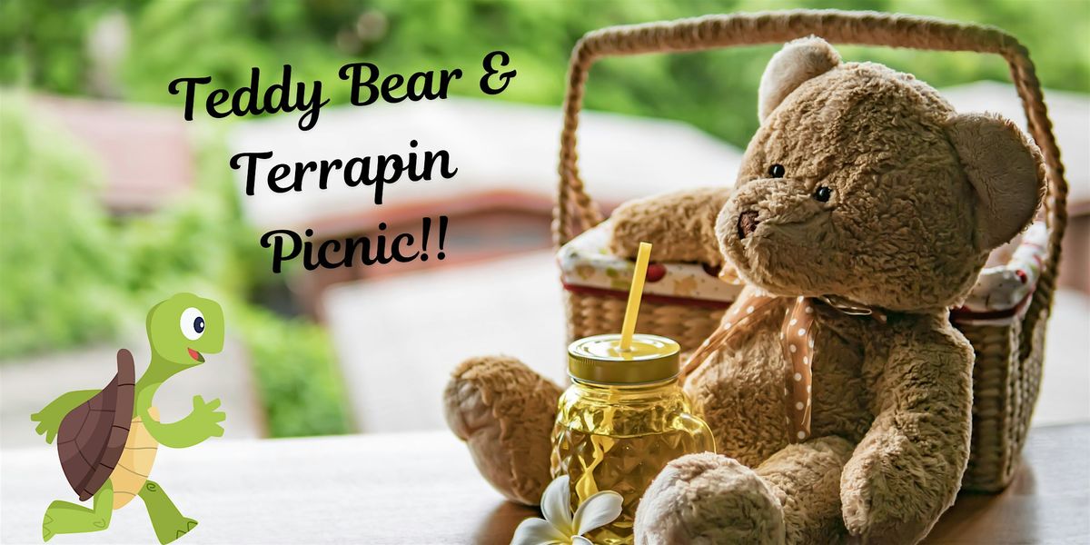 Teddy Bear & Terrapin Picnic!