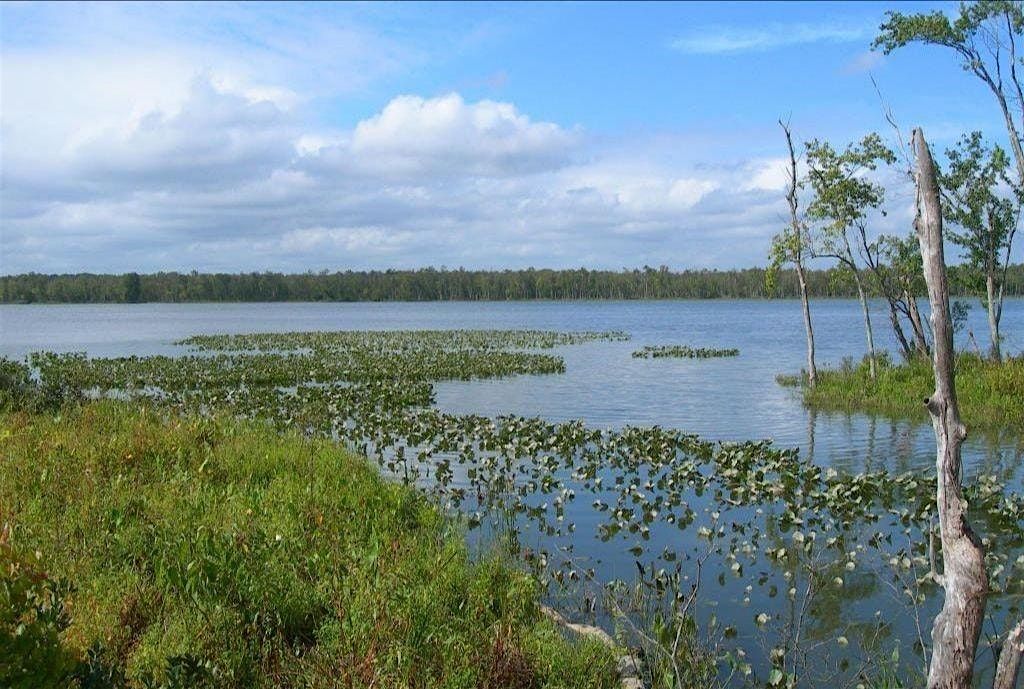 Guided Nature Walk at Voorhees Nature Preserve