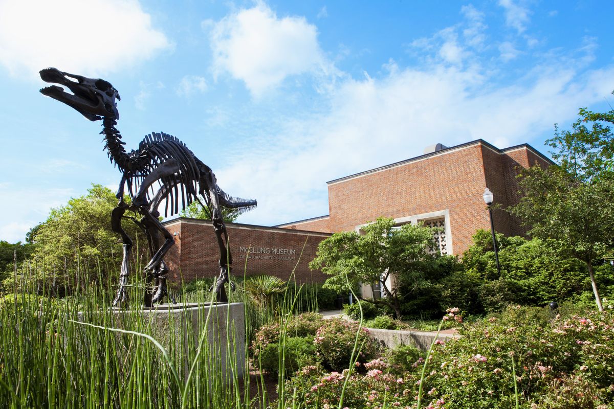 Visit the McClung Museum