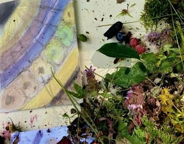Kunst Kreativ Kurs: Wandern & Farben in der Natur entdecken