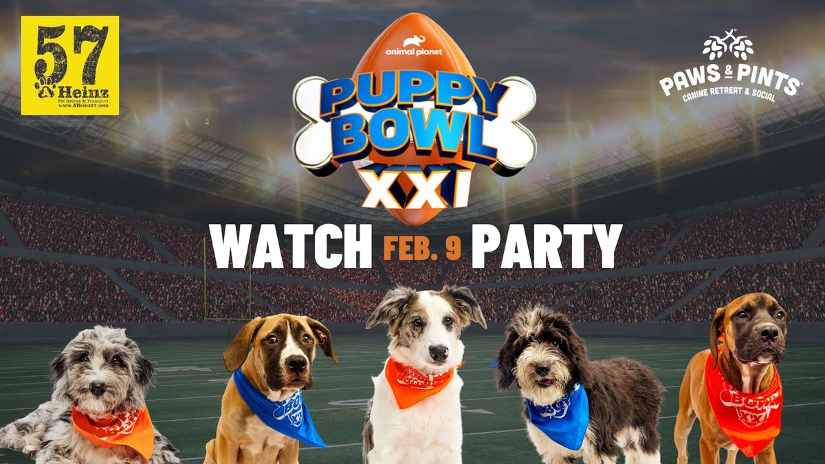 Puppy Bowl Watch Party