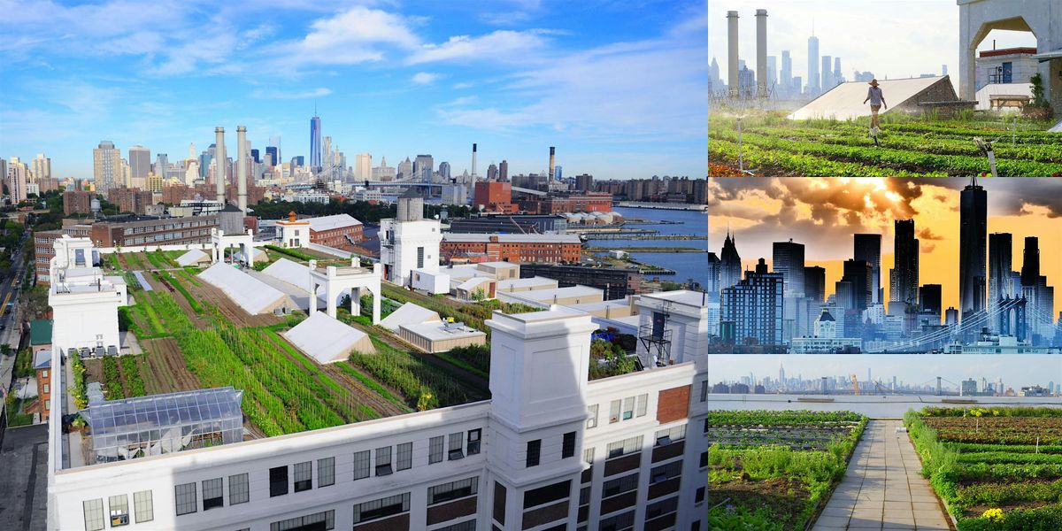 Private Sunset Tour @ Brooklyn Grange, World's Largest Soil Rooftop Farm