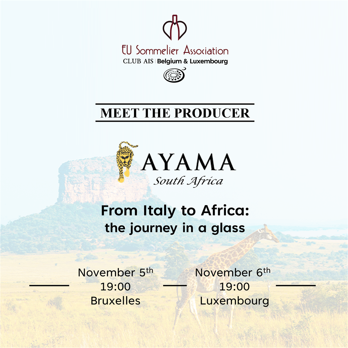 Ayama South African Wine Tasting @ Luxembourg