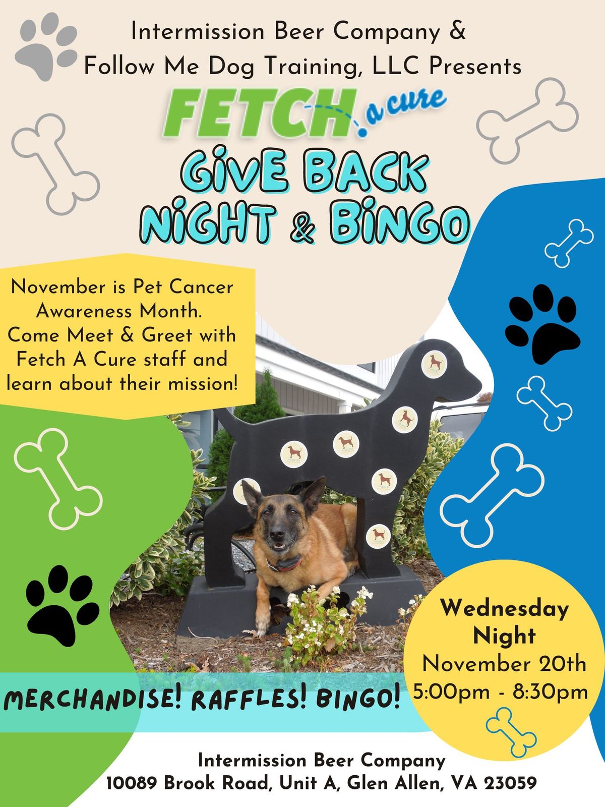 Give Back & Bingo Night - Fetch A Cure