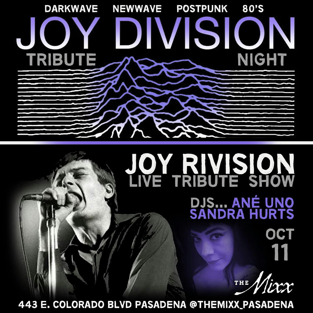 JOY DIVISION Night with Live Tribute by JOY REVISION