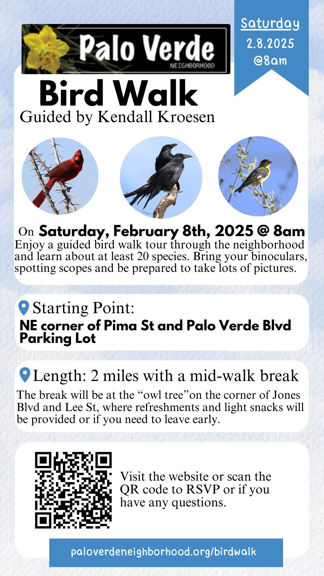 Guided Bird Walk in Palo Verde Neighborhood