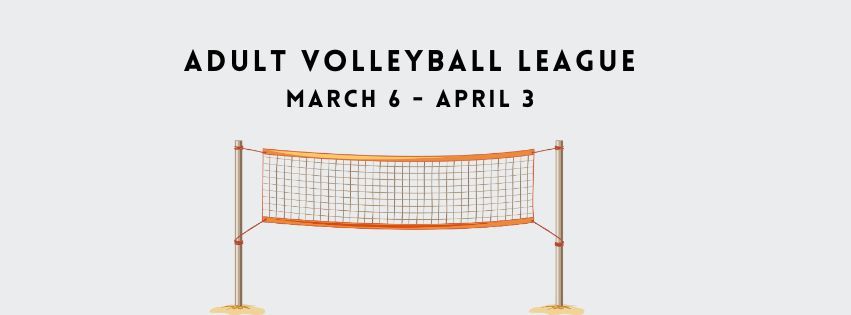 Adult Volleyball League