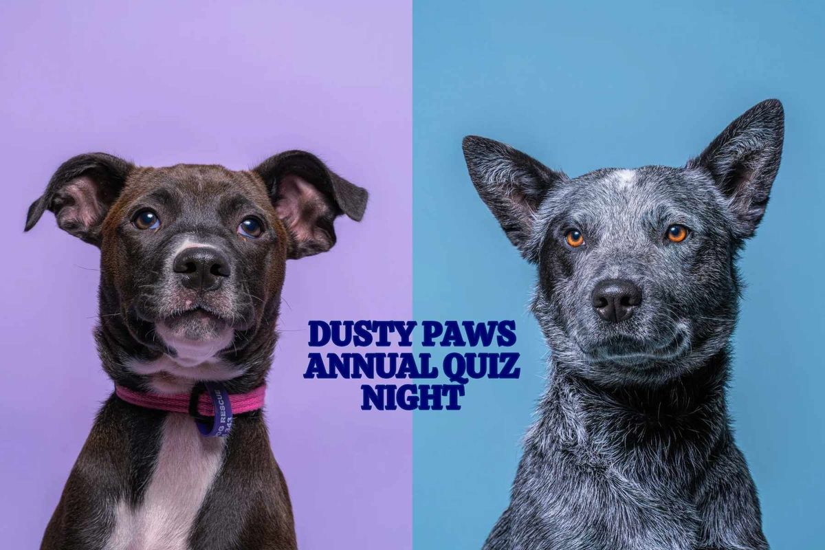 Dusty Paws Dog Rescue Quiz Night