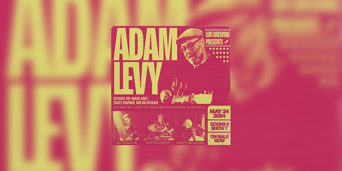 ADAM LEVY (GUITARIST FOR NORAH JONES) LIVE AT LOFI