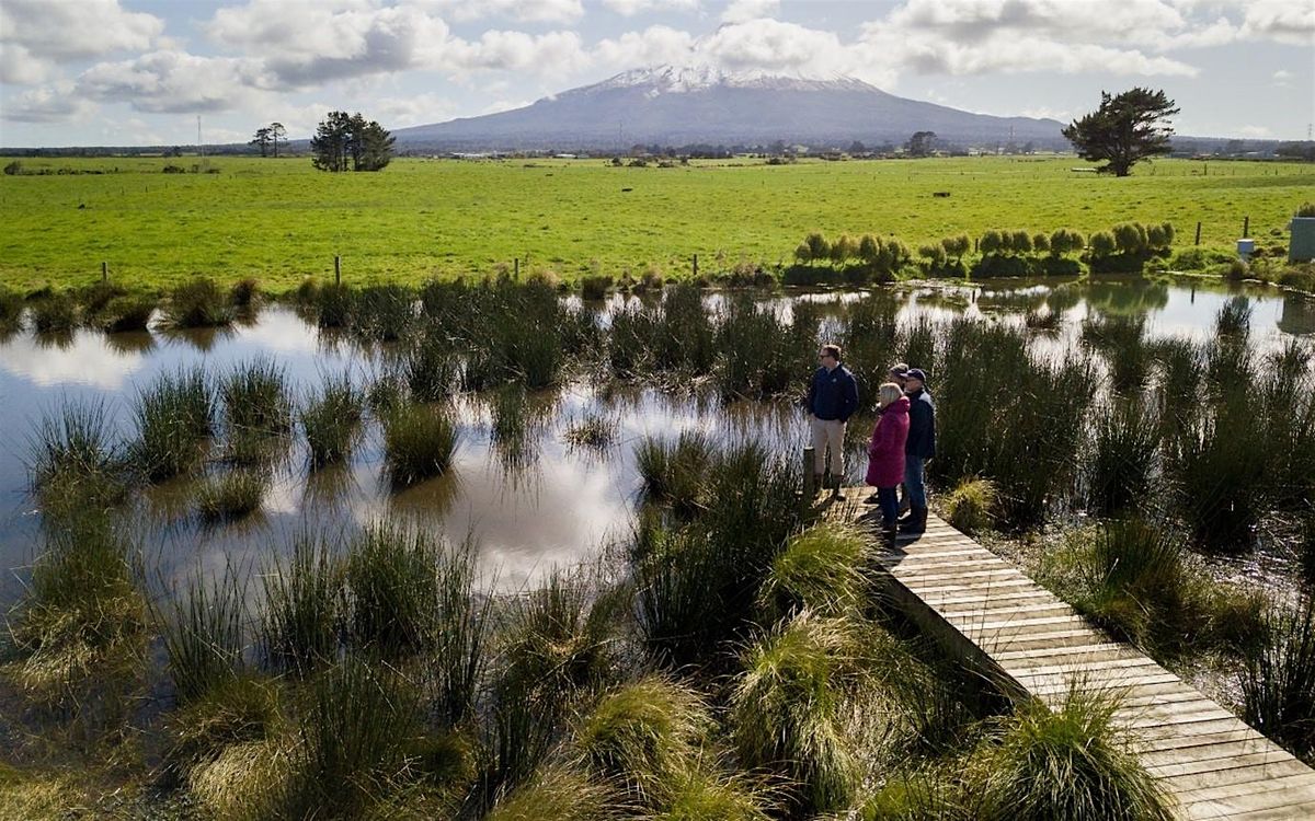 Catchment Solutions Project Masterclass training: constructed wetlands