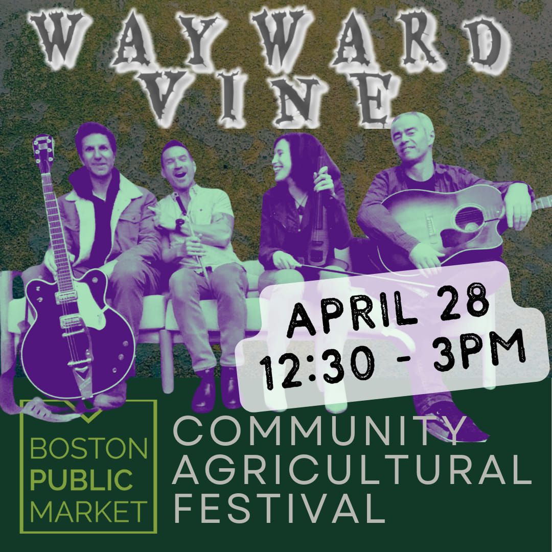 Wayward Vine at Boston Public Market's Agriculture Festival