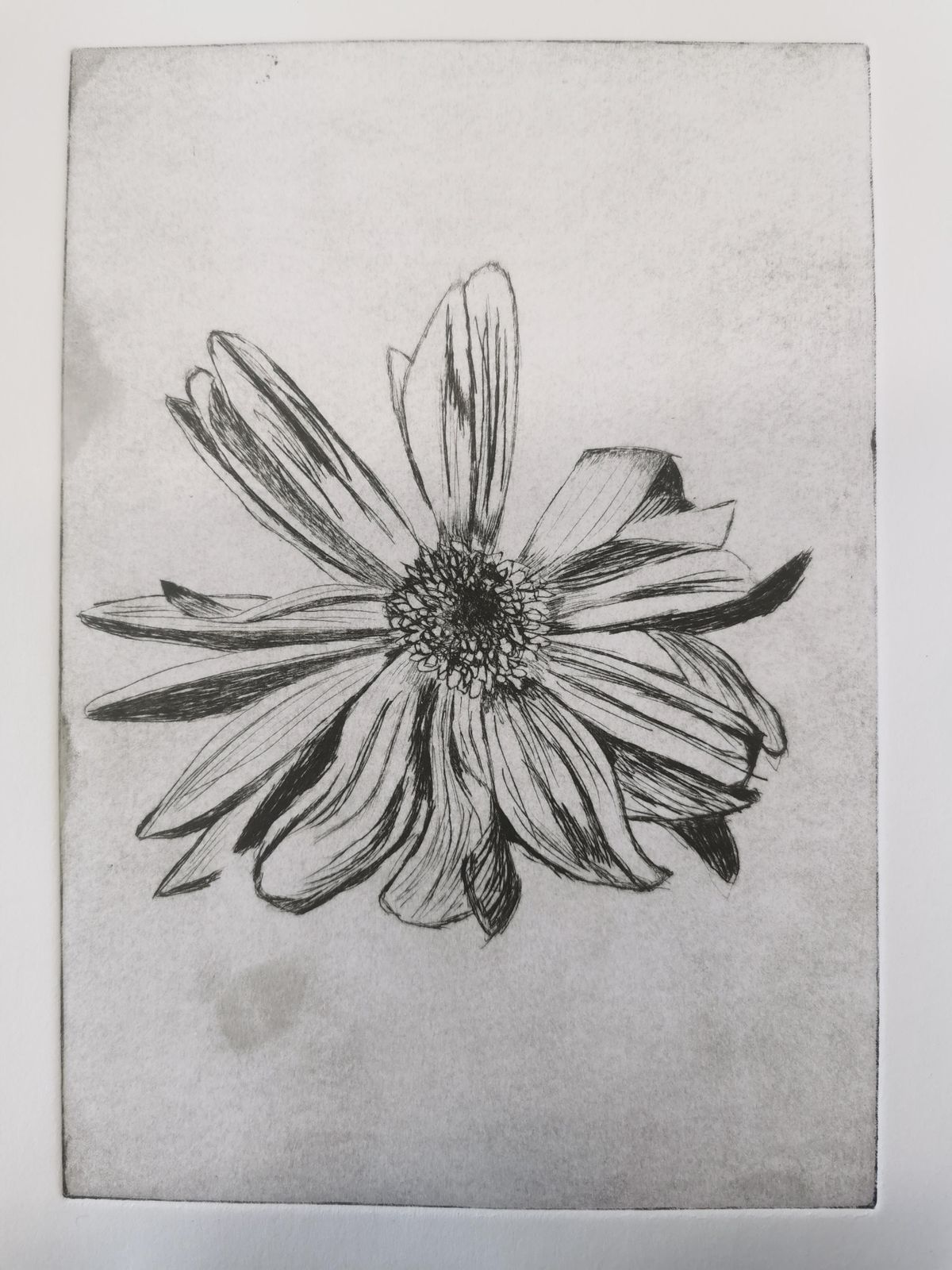 Full Day Drypoint with chine coll\u00e9 workshop AWOL studios, Hope Mill