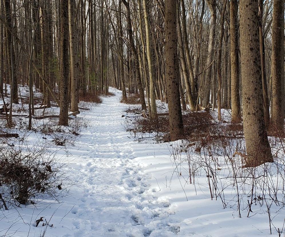 First Day Hike