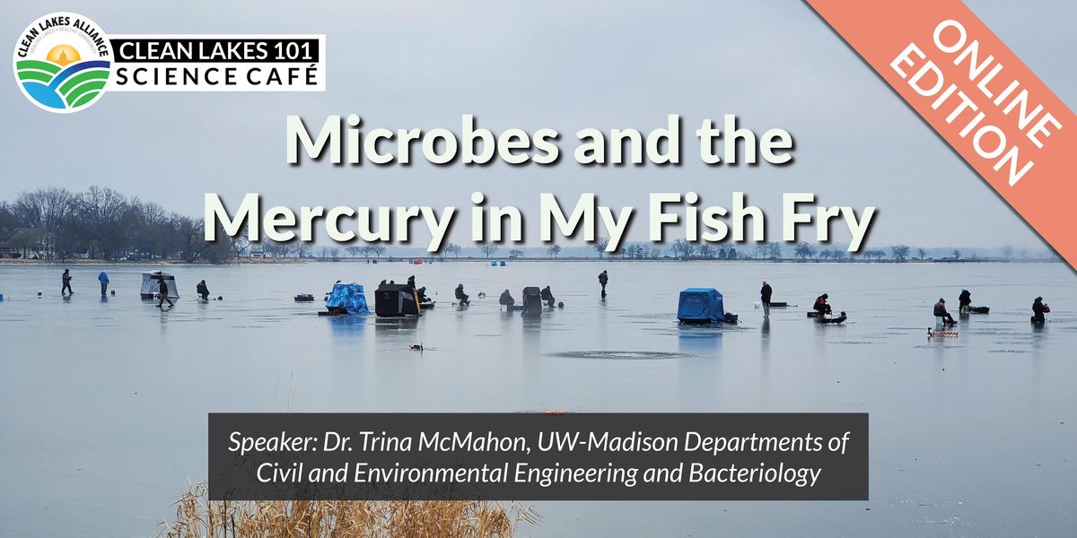 Clean Lakes 101 - Microbes  and the Mercury in My Fish Fry (Virtual)