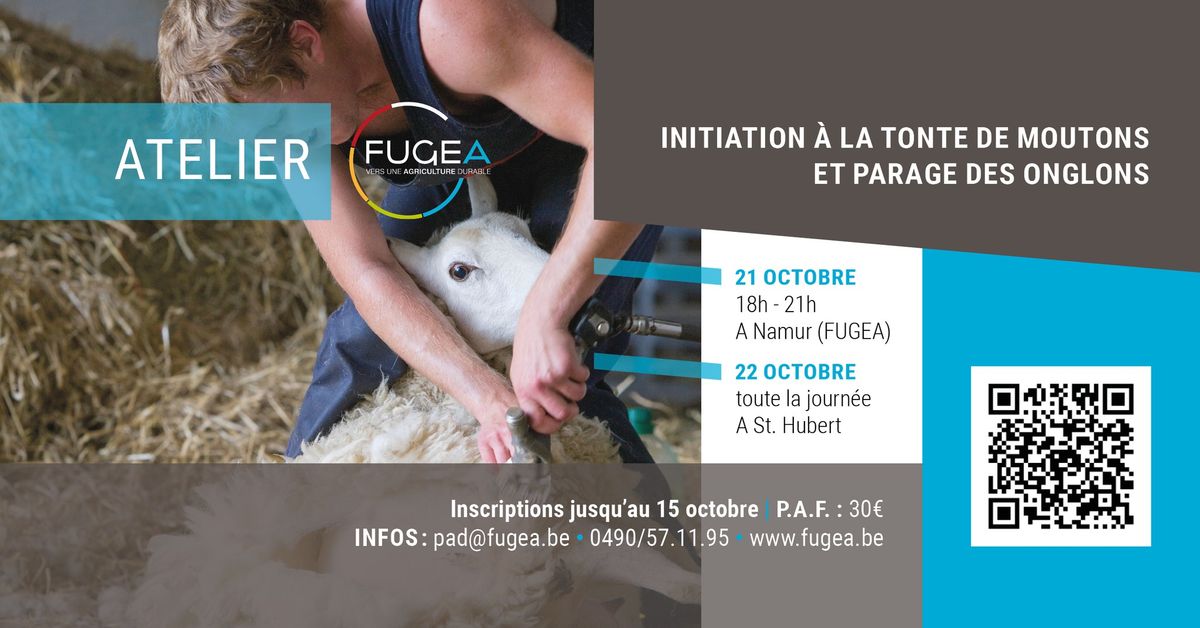 ATELIER - initiation \u00e0 la tonte de moutons et parage des onglons