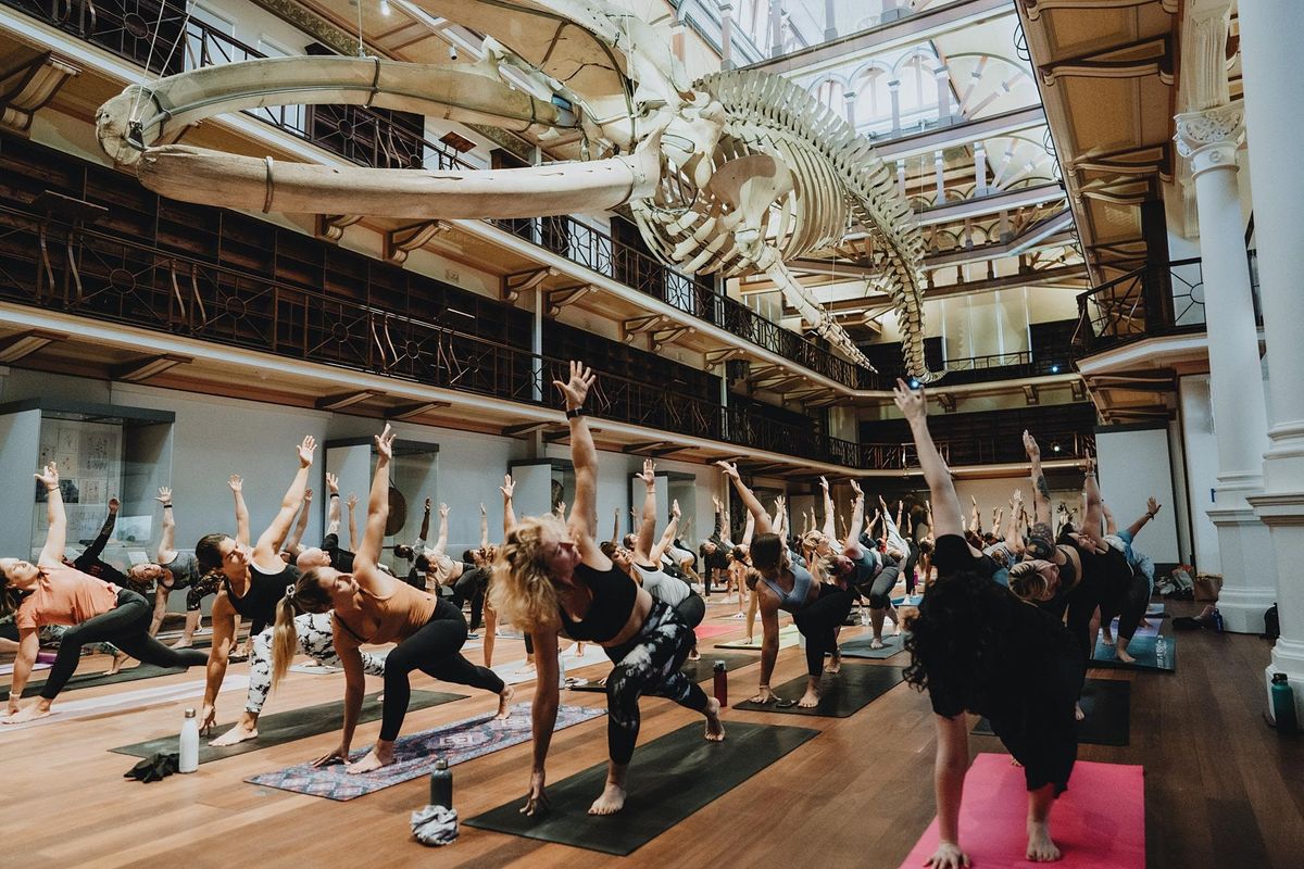 Yoga at the Museum July 31st 2022