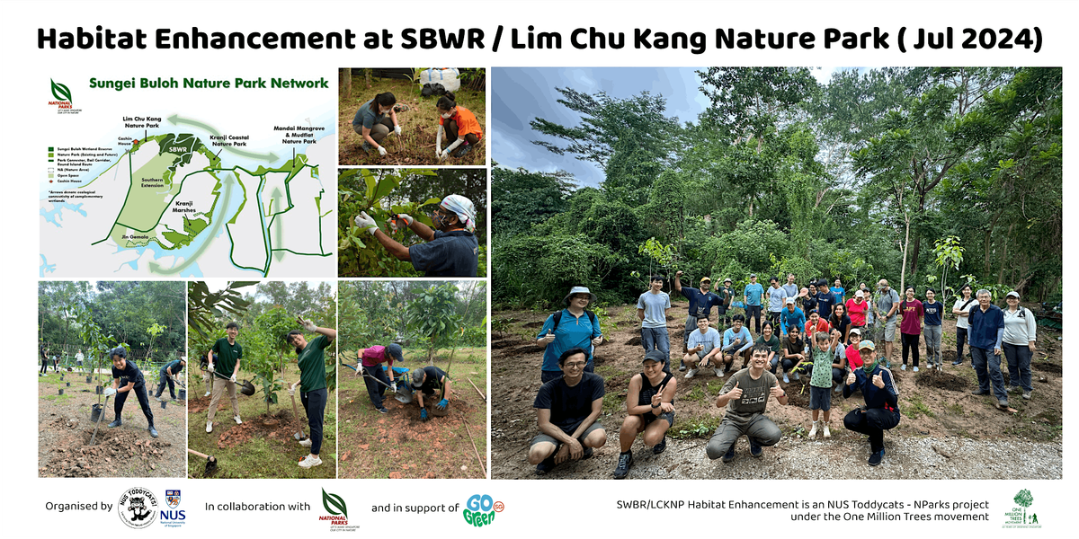 Habitat Restoration at SBWR\/Lim Chu Kang Nature Park (Jul 2024)