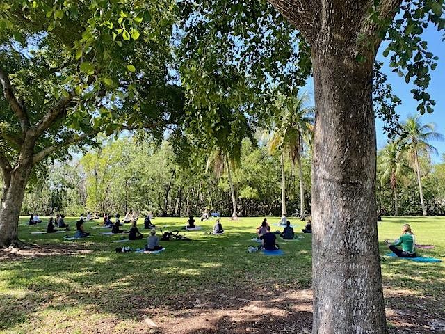 Yoga in Kennedy Park