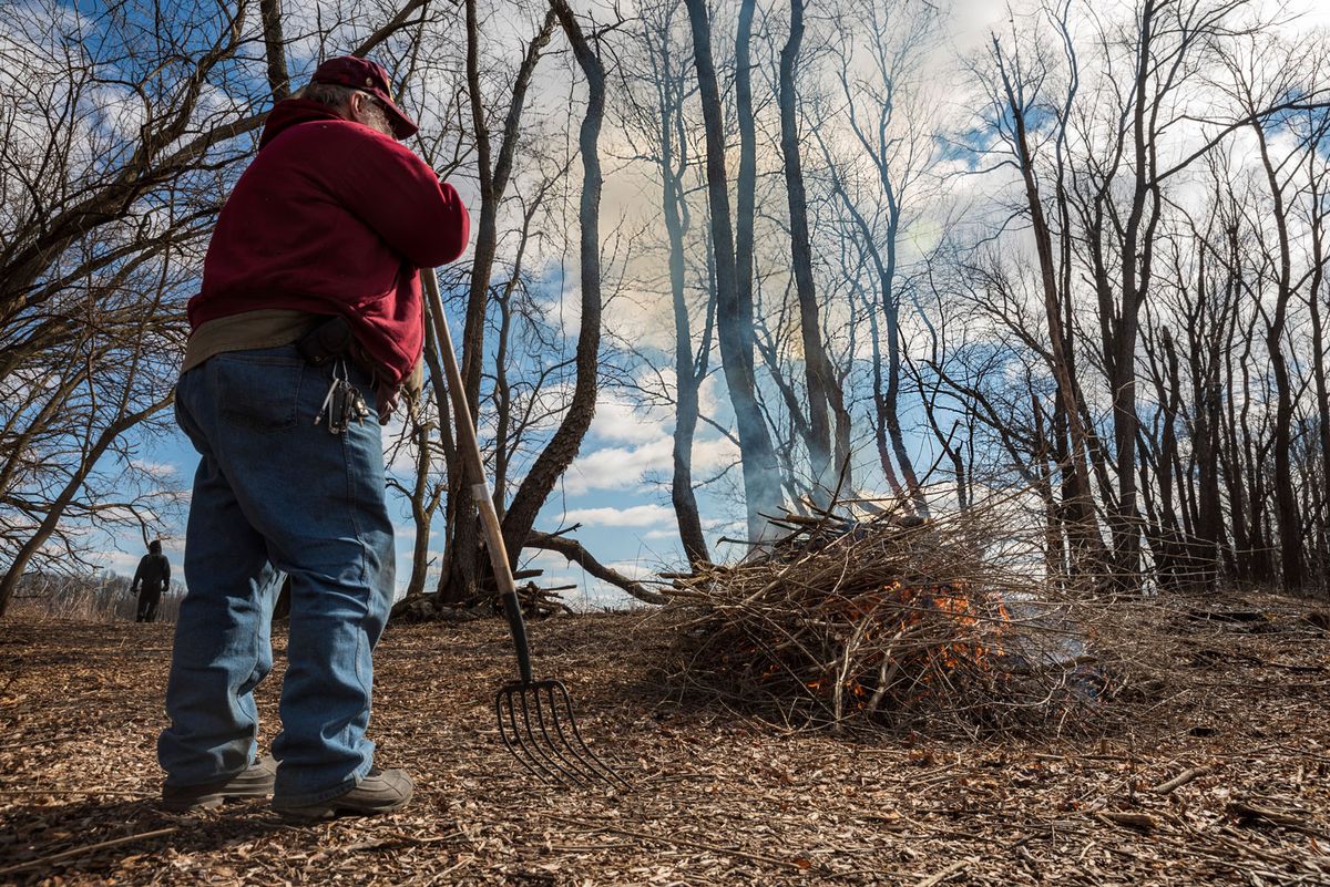 Volunteer Morning: Whalon Lake