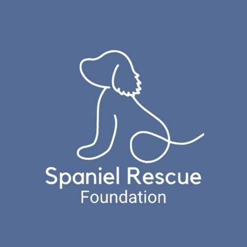 Christmas Paws for Spaniel Rescue Foundation 