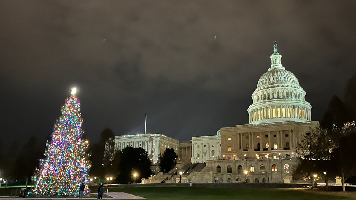 National Christmas Tree & Holiday Lights Bus Tour