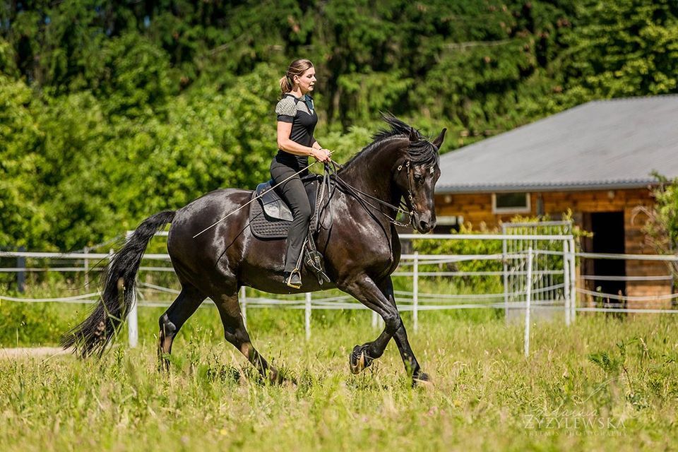 Bettina Biolik \u2013 harmonious, light, considerate of the horse