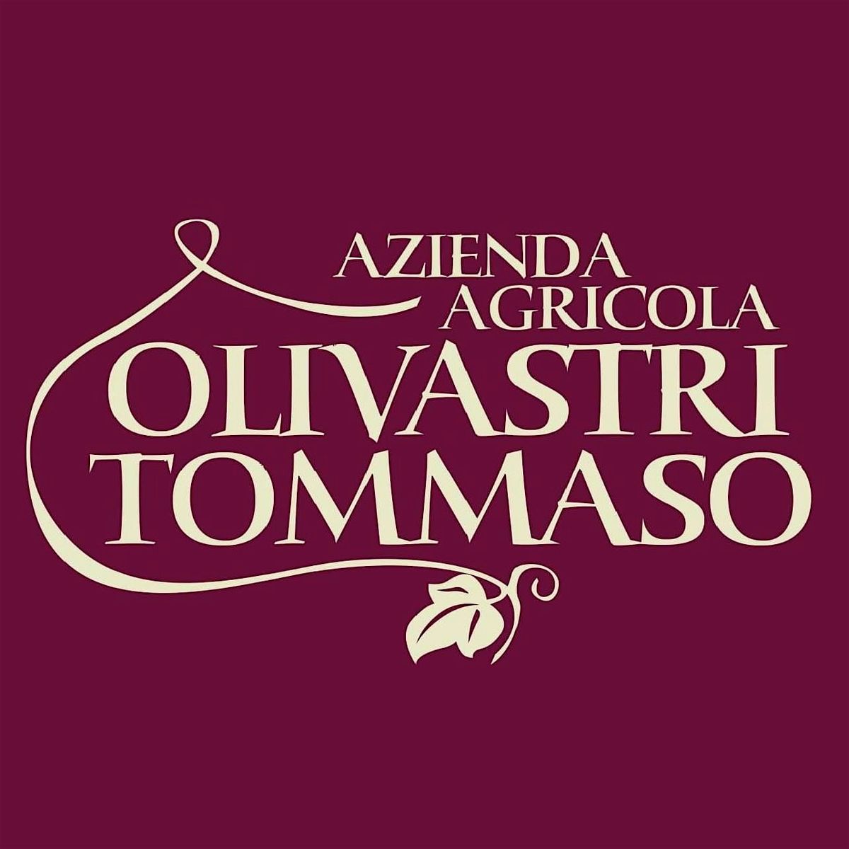 Mother's Day Wine Tasting with Olivastri