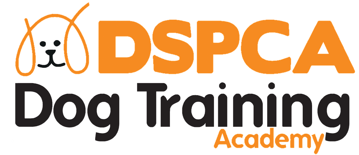 PRIVATE TRAINING CLASSES 2024 @ DSPCA, Rathfarnham