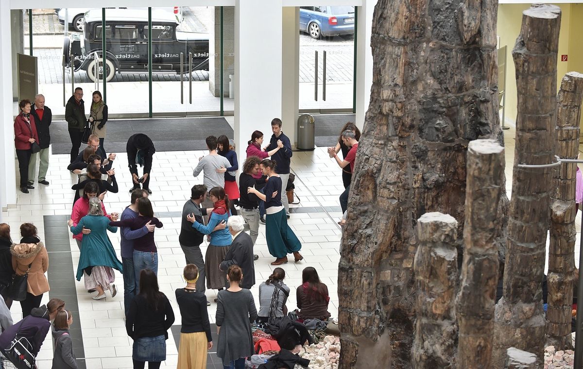 Vom Steinernen Wald zum Theaterplatz \u2013 eine getanzte Stadtf\u00fchrung