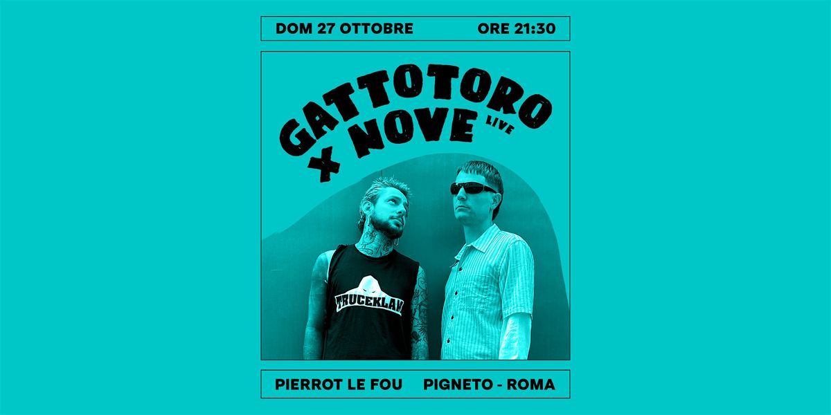 Gatto Toro x Nove - PLF