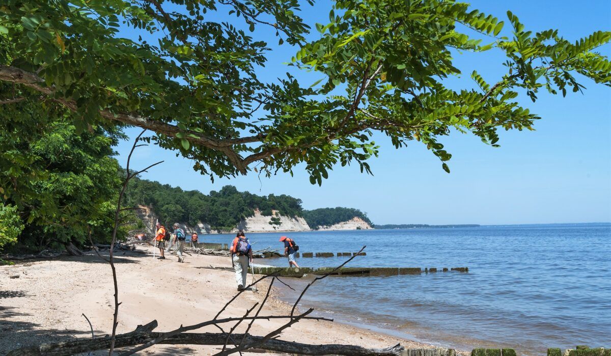 Parking Beach Fossils (18+)