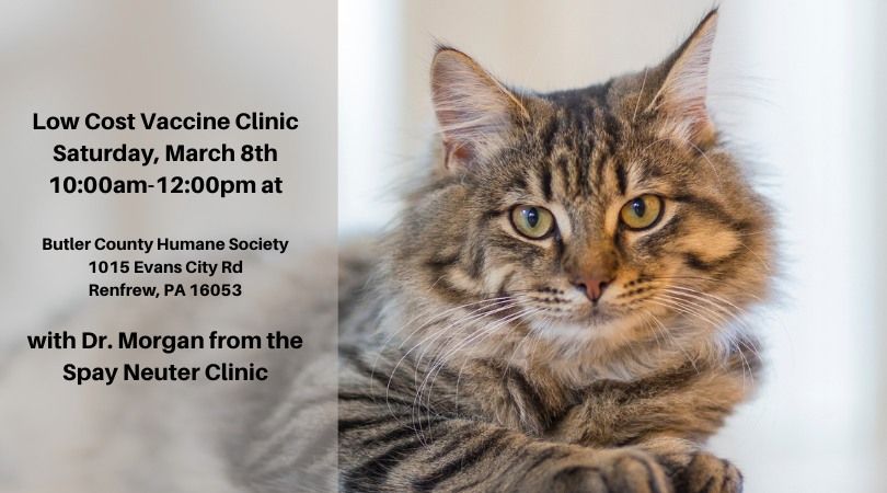 BCHS Vaccine Clinic