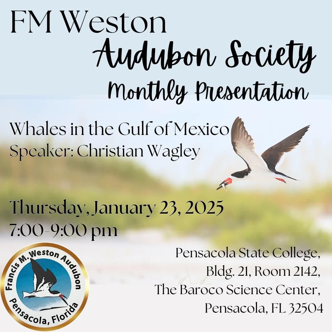 Public Chapter Meeting - Whales in the Gulf of Mexico