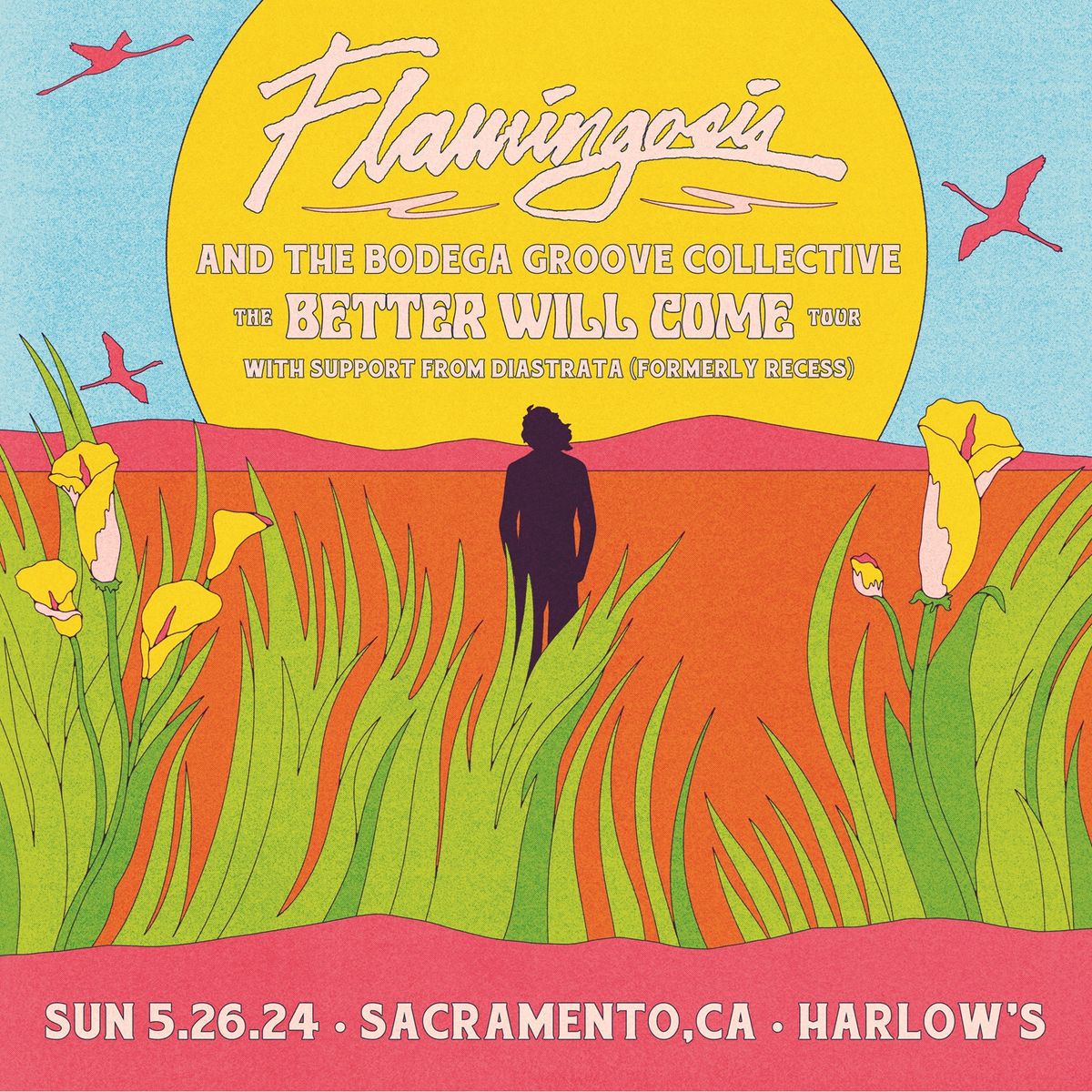 Flamingosis and the Bodega Groove Collective at Harlow's with Diastrata
