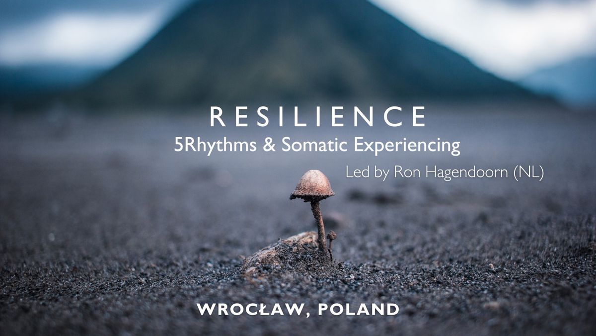 Resilience - 5Rhythms\u00ae and Somatic Experiencing\u00ae workshop with Ron Hagendoorn (NL)