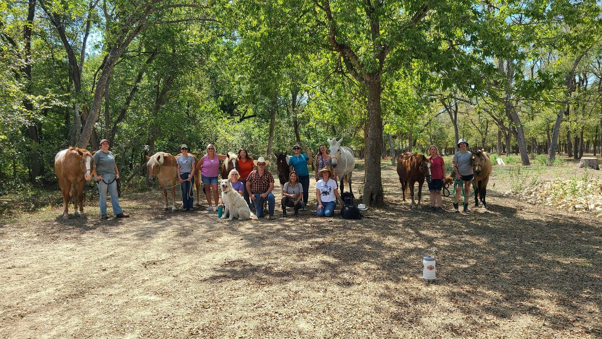 The Hero's Journey: An Equine-Assisted Self Discovery Workshop