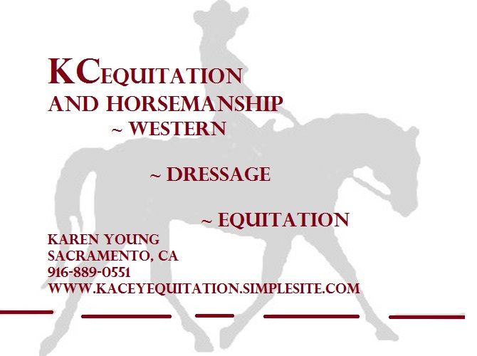 Equitation\/Horsemanship Workshop - The Rein Aids