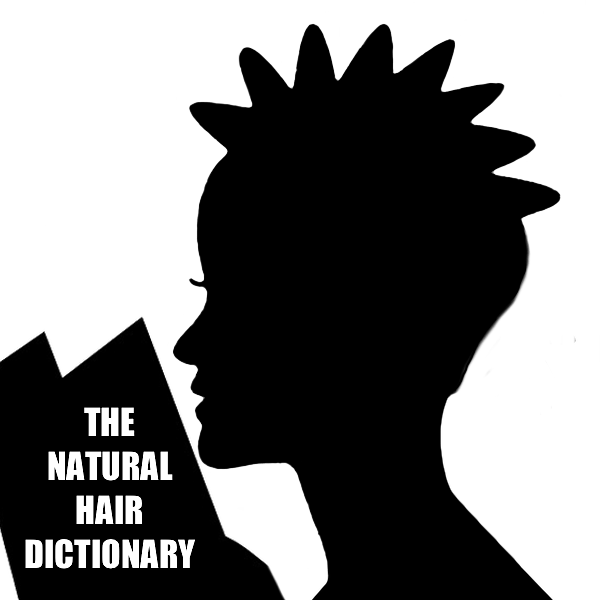 The Natural Hair Dictionary Book Talk