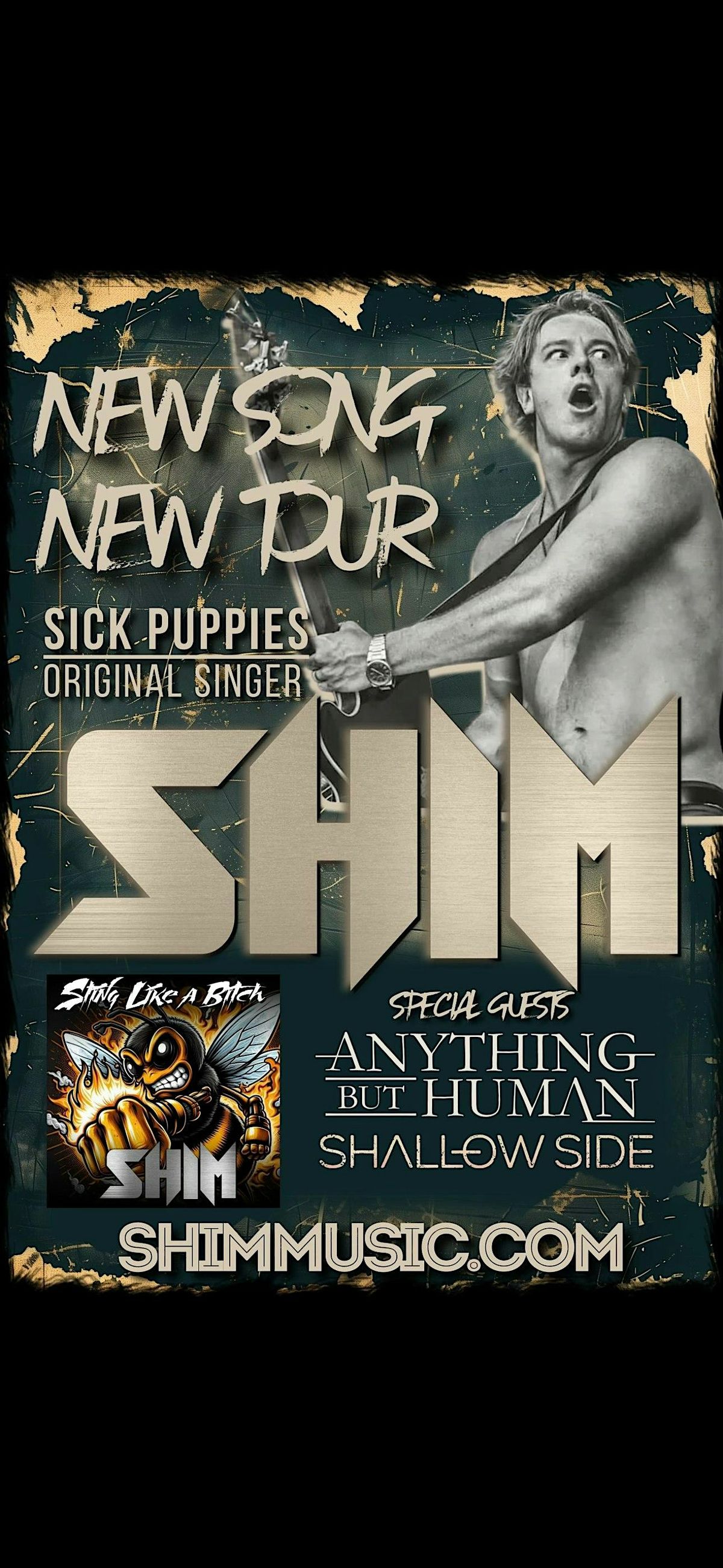 SHIM in concert with Shallow Side and Anything But Human!