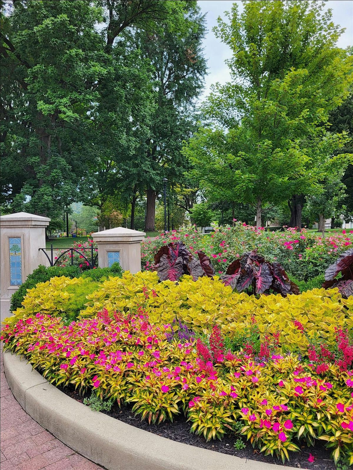 Capturing Native Plants in Washington Park  with Damon Wilson