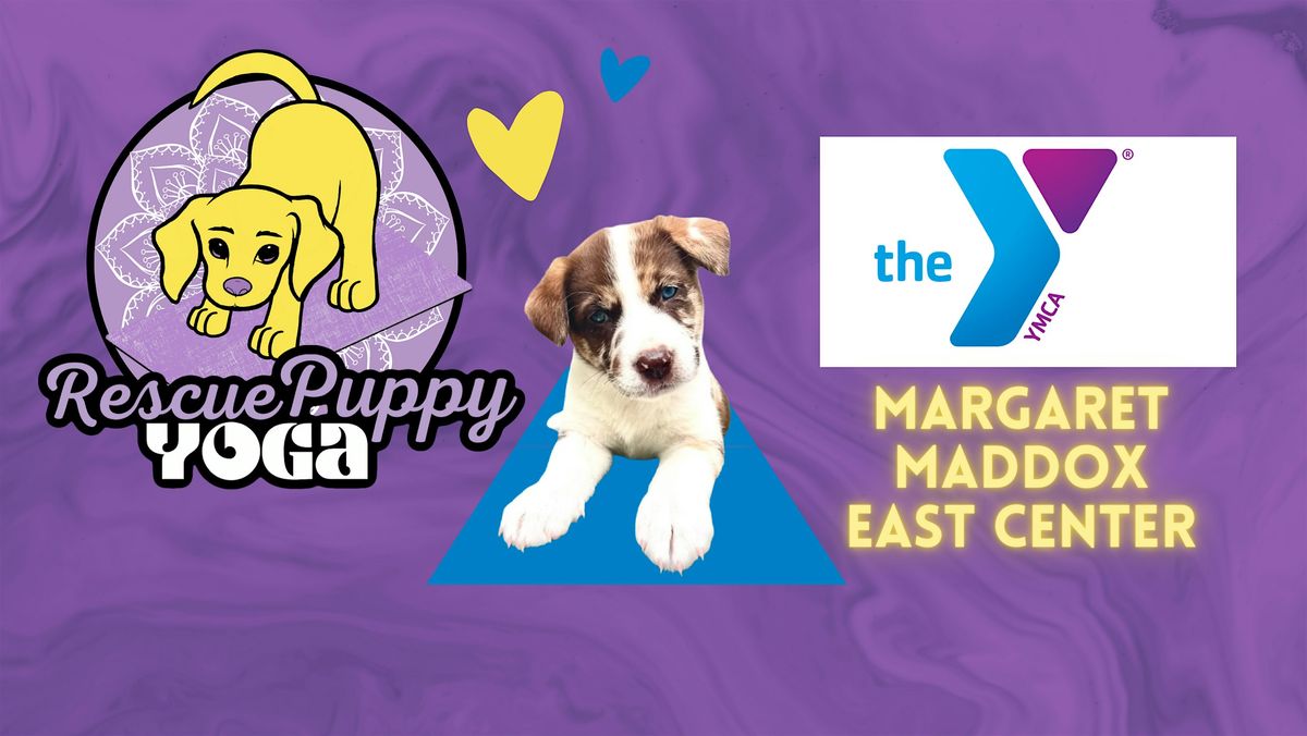 Rescue Puppy Yoga - Margaret Maddox family YMCA East center