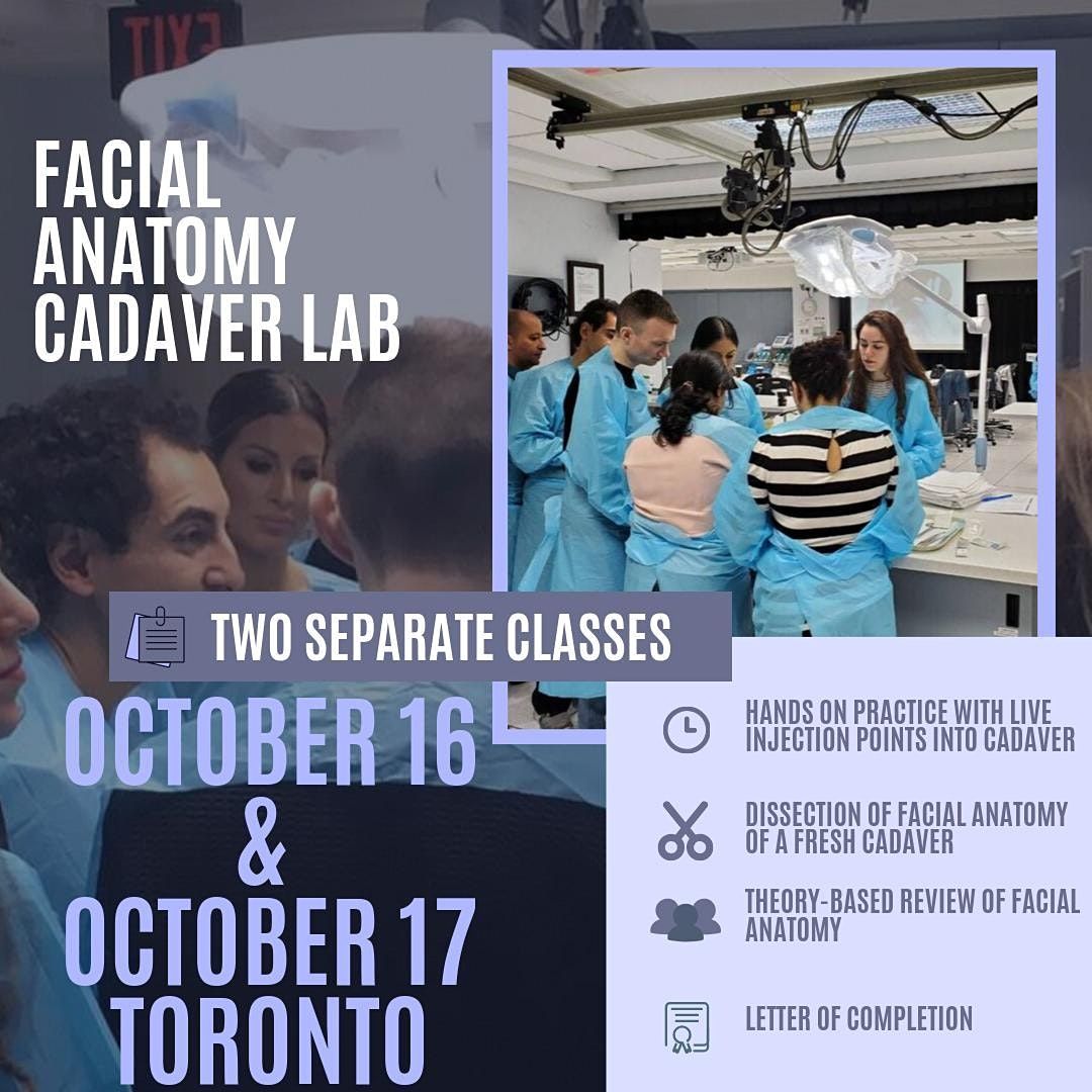 Facial Anatomy Cadaver Lab Surgical Skills Center At Mount Sinai   7dcf55d50c0d2c3b606410f7907f5cccafee2e8b083b4dabd2f2cb9fea07e784 Rimg W1080 H1080 Gmir 