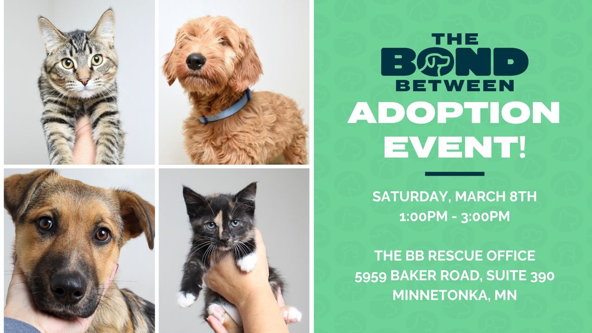 BB Onsite Adoption Event!